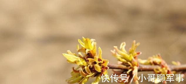 和?|做人,性格坚忍的人有多厉害?看完这个历史故事,或许你就明白了