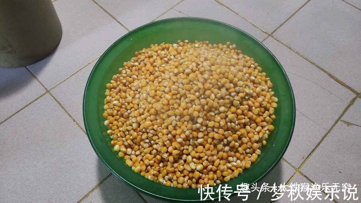 攻略|野钓大鲤鱼全攻略，学会此钓法后，大鲤鱼排队咬钩