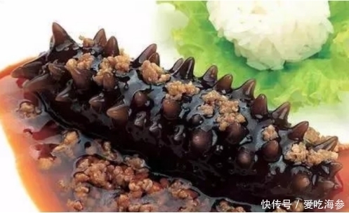 食材|海参的家常做法大全