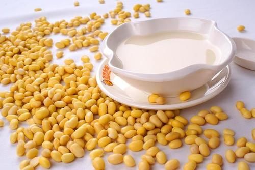 发物|豆浆是肝病的“发物”？温馨提示：若想肝好，3种食物尽量少碰