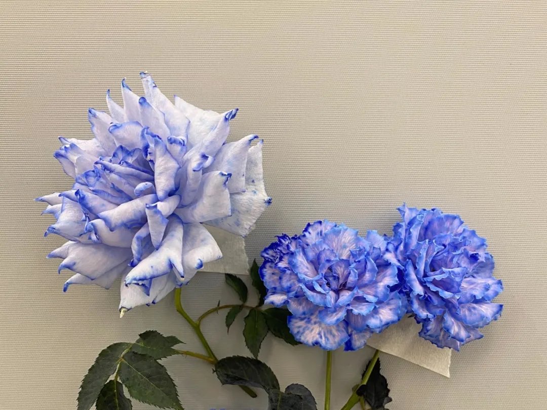 留得心中花香在,人生四时皆风景|诗词 | 终南别业