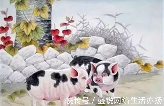 属猪|老人都说：生肖猪出生在这个月，命特好！