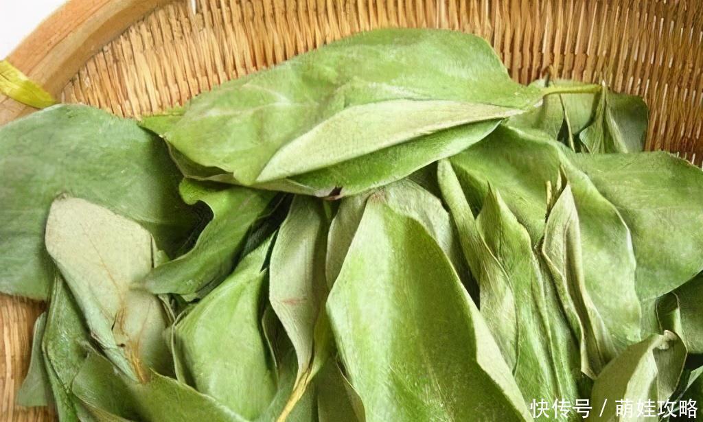 吃豌豆尖|冬季排毒很重要,推荐3种食物,排毒清肠,抗衰老,清理体内毒素