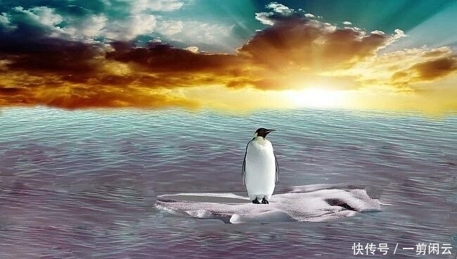 将太阳私有化,准备向所有使用太阳的人收费,真是闹出了天大笑话