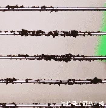 工具|如果你是懒人,这8样清洁工具要知道,我家入住3年家务活少一半