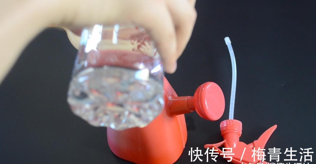 卫生间里放一瓶藿香正气水, 作用太棒了, 解决了很多家庭的烦恼