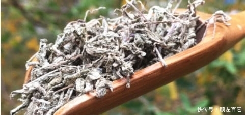 它是咽喉炎的“克星”,每天泡水喝一杯,顽固炎症可能不攻自破