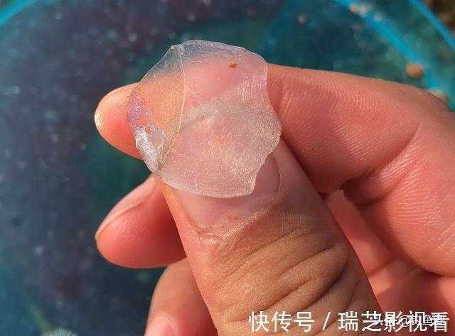 钓鱼时总是挂到鱼鳞？只需简单调整，就能轻松把鱼钓上岸