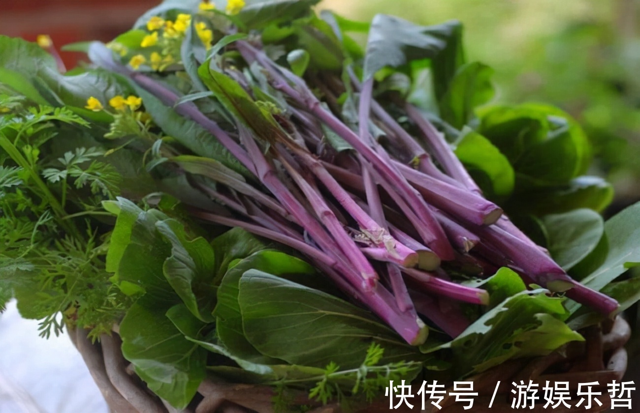 红菜苔|冬季来了,常吃三种食物,营养丰富,还能抗衰老,早知早好