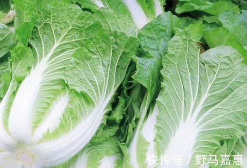 通便|它是肠道“保护伞”,每天吃一点,清肠排毒,便秘不来扰