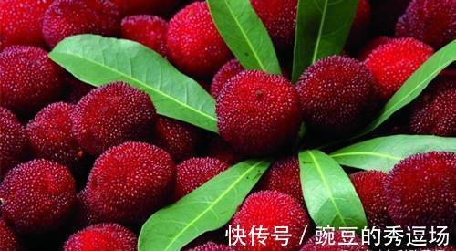 低脂肪|女性到了中年,常吃三种食物,补血益气,延缓衰老,滋补身体