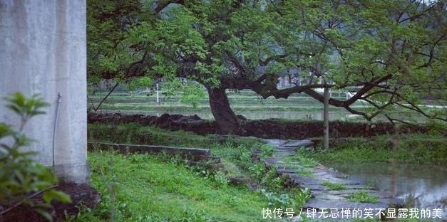 通车|湖北最后一处世外桃源，至今还没有通公路，与县城不通车