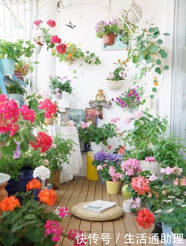 花盆落满小飞虫周围撒点它，3天就见效，小虫死翘翘！