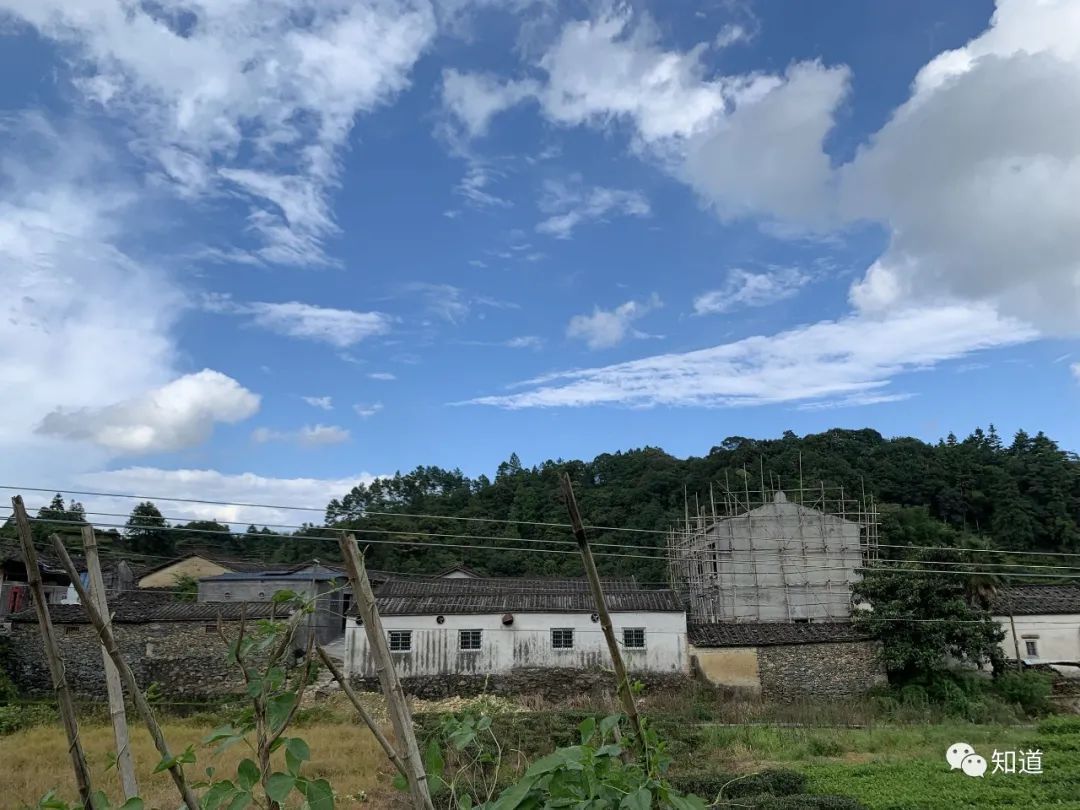 山水画&中学为体、西学为用,那么山水画中的“体”、“用”分别指什么?