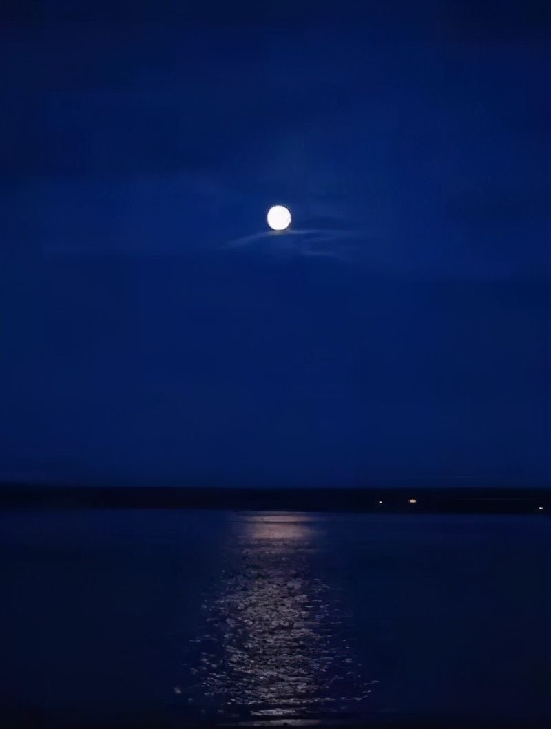 树上的男爵&苏轼最通透的一首词,最后两句,让人豁然开朗