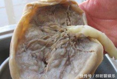 是真的吗|孩子出生后,“胎盘”怎么处理看看科学的处置方式,不再迷茫了