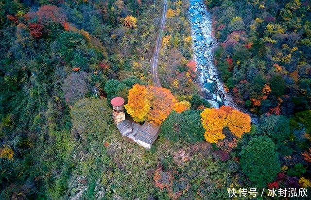 秘境|媲美光雾山！平武这条沟，藏着一个惊艳的彩林秘境！