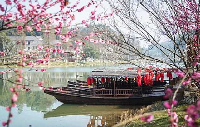 《向往5》大厨变成彭昱畅?黄磊“退位”早有伏笔,受累还遭埋怨谁受到了