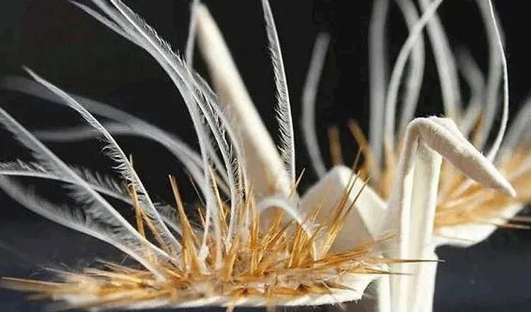 灵感$抑郁小哥把一只2毛钱的千纸鹤折成了我买不起的样子,不但病好了还年入百万