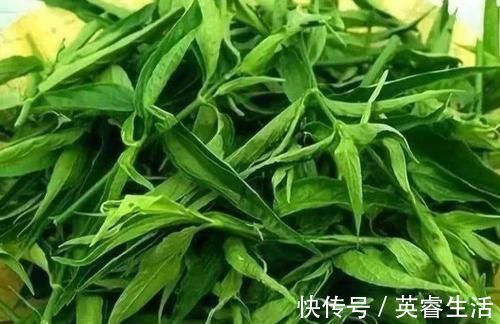 三七花茶|高血脂遇到“死对头”, 每天吃一些, 血管通畅, 身体更健康