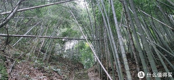 山阴道上行 如在画中游|旅行日志 篇一：绍兴 · 萧绍古道 | 中年