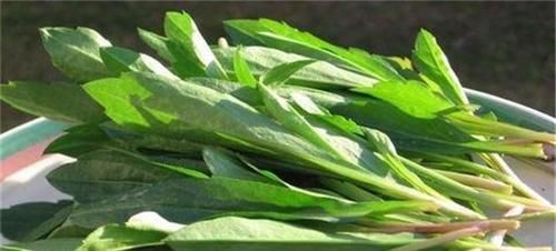 對人體極好的食物，推薦大家常吃，駐顏美容，祛黑斑，利五臟