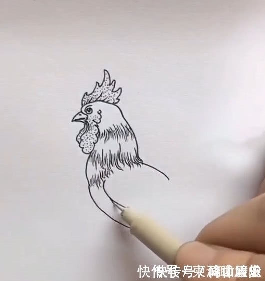 美术生#美术生画公鸡，不起型直接画，成品很有料，网友：橡皮擦放假了