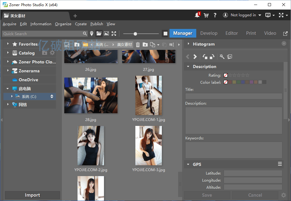 Zoner Photo Studio X v19.2309.2.503 英文绿色便携版