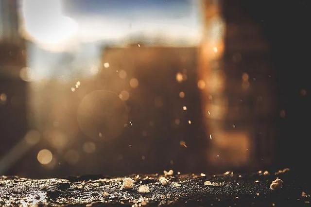 防未病|三伏养阳正当时！鸡肉配上它们一起用，养阳健脾、冬病夏治~