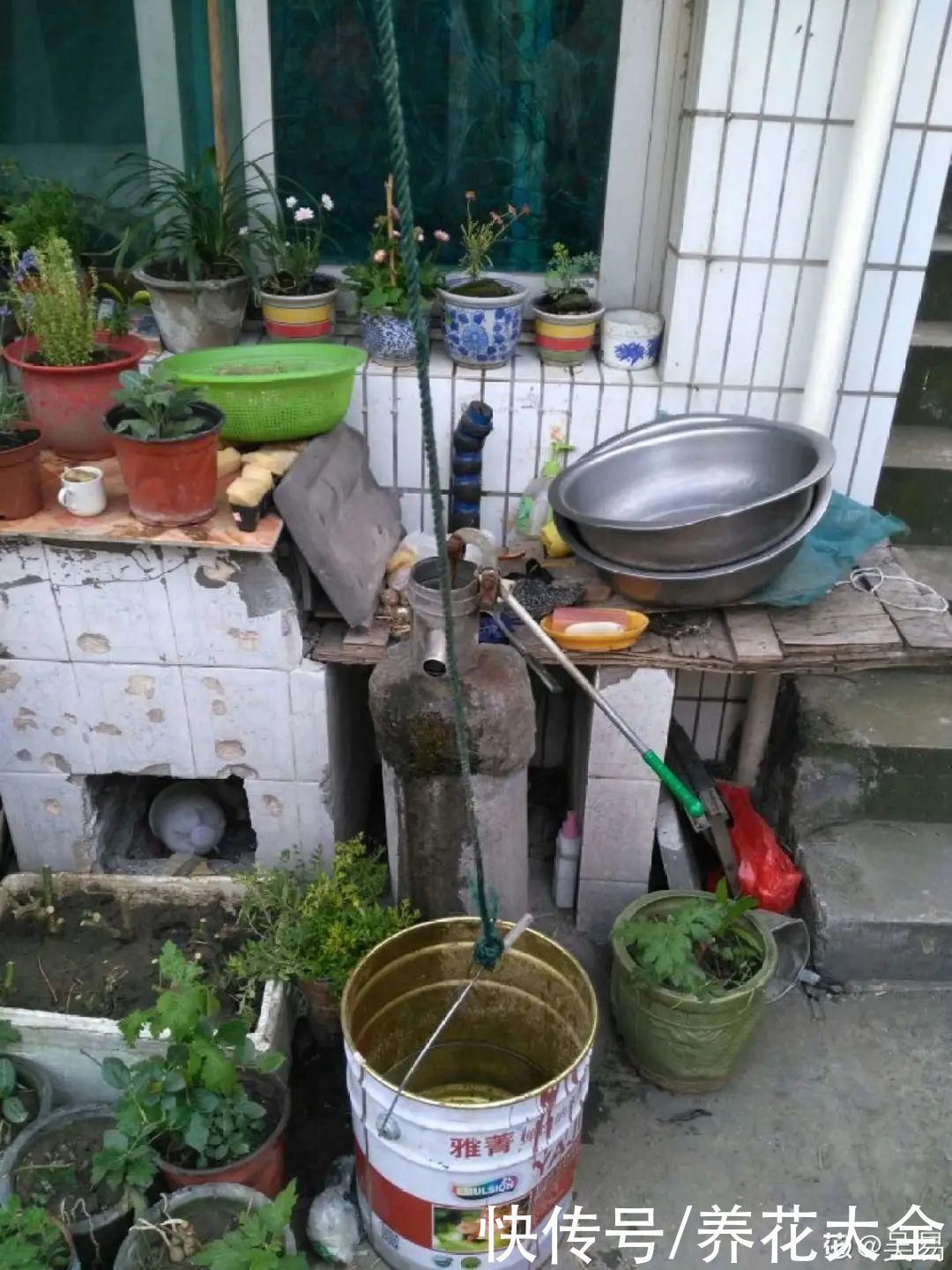 门前不栽竹,门后不留树,老祖宗传下来的养花谚语,特别准