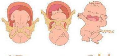 孕妇|分娩结束后的一小时，产妇身体会经历哪些变化你或许不清楚