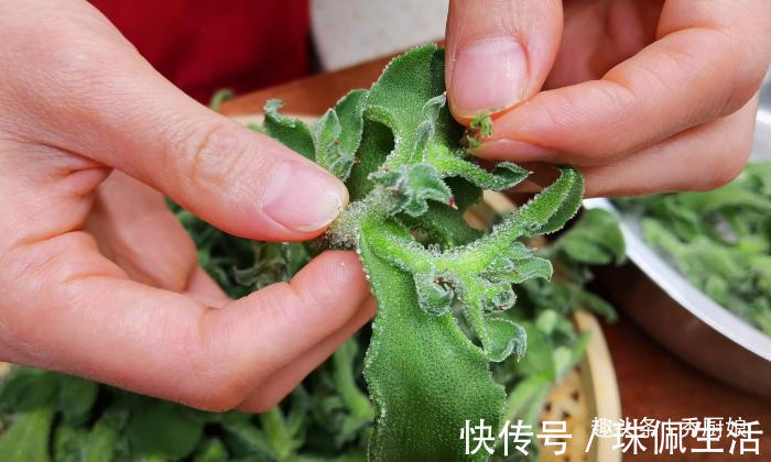 冰草|天越热,儿子越馋此菜,三天两头吃一次,补充维生素,头脑更聪明