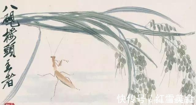百花卷@把齐白石的草虫放大,这不是照片,这是白石老人的工笔草虫!