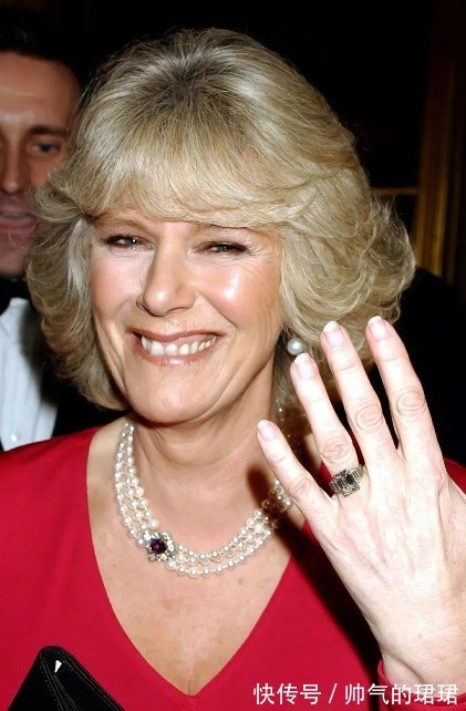 伊丽莎白 卡米拉的蛇形项链20年前做情人时查尔斯送的,蛇蝎气质一目了然