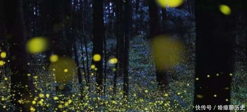  独自|秦观一人独自出门纳凉，写下一首生动有趣的诗，读来令人拍案叫绝