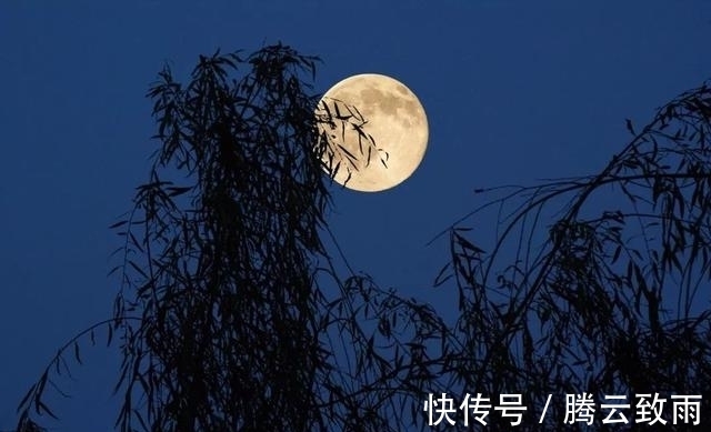 汉字!世界上最孤独的诗,道出“孤独”的最高境界,汉字有多美?