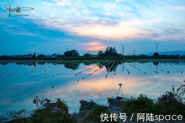 珍珠蚌|余杭的北湖草荡不过如此，还没有它旁边的一口池塘好看