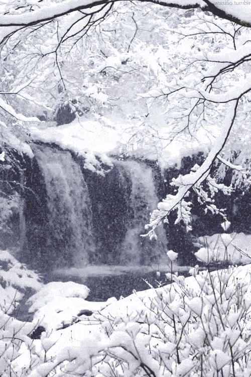  冬日|冬日听雪，一片雪花落在手，十首听雪诗词，感受古人诗意的冬天！