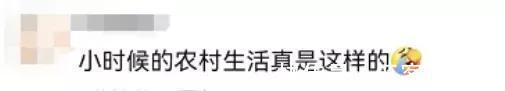 又土又上頭!用好萊塢技術(shù)拍農(nóng)村生活,人稱“糙版李子柒”!