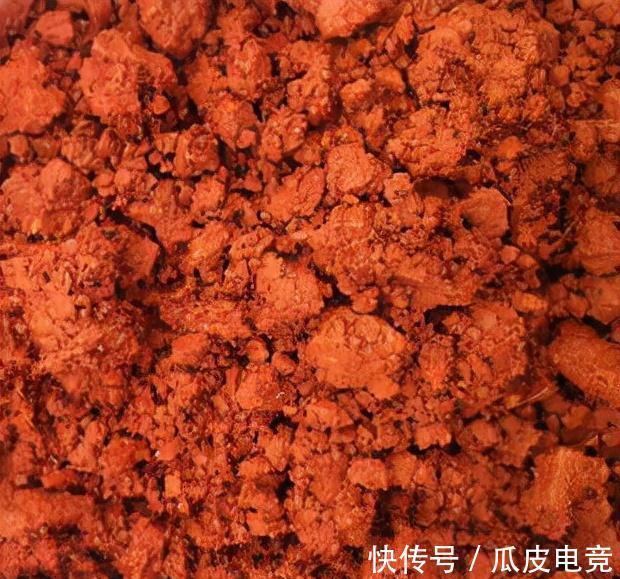 花市有大猫腻,新手养花总是挂,原因都在这里了