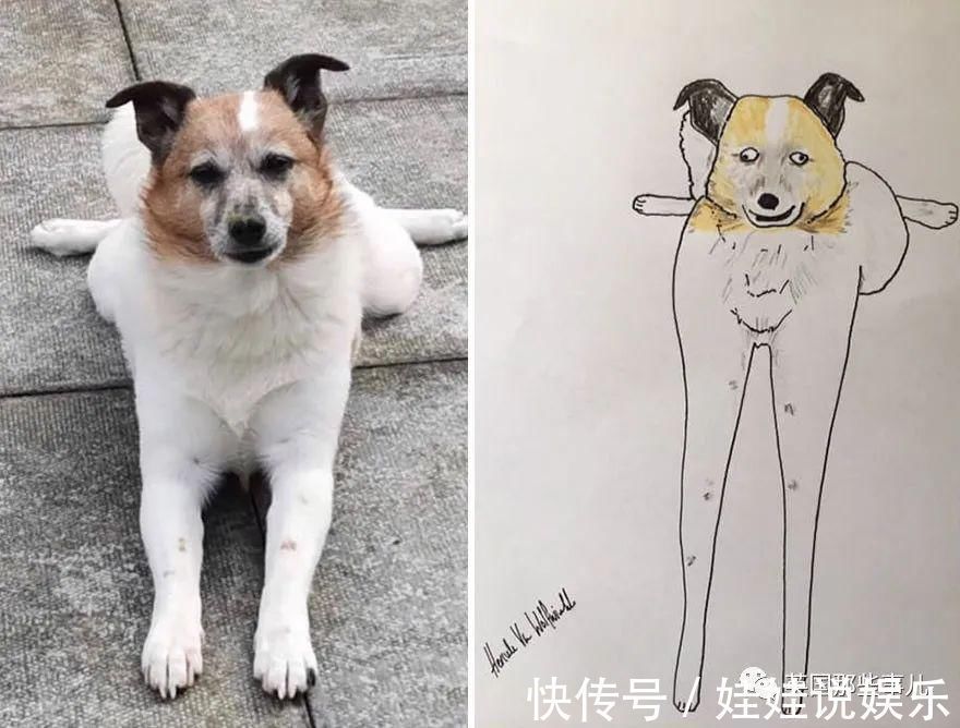 pet#随手涂鸦,自己觉得是“垃圾”的画作,没想到却在网上卖疯了