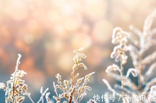 芳蕤&「诗词鉴赏」一年最冷三九天,十首有关三九的诗词,愿你一冬平安