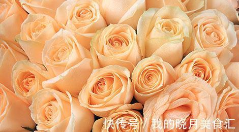 香槟玫瑰的介绍及花语,玫瑰系列之香槟玫瑰,送给钟情的她