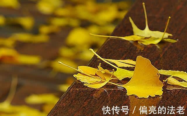 意趣|处暑节气品唐诗,一首秋日小诗,感悟诗中浓浓的哲学意趣