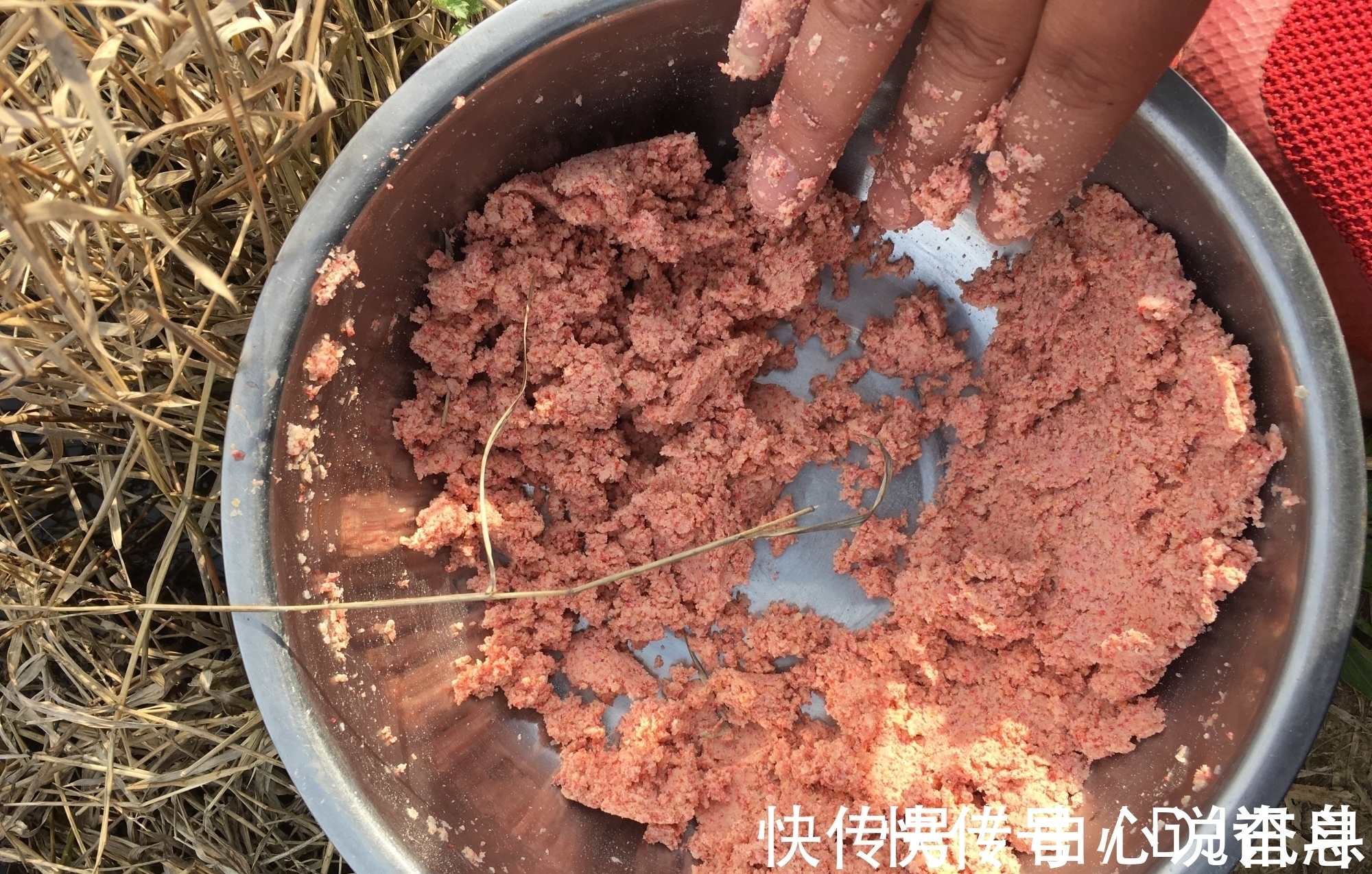 钓鱼人|钓鱼潜规则知多少?这8种大忌不能犯,全做到的算真钓鱼人