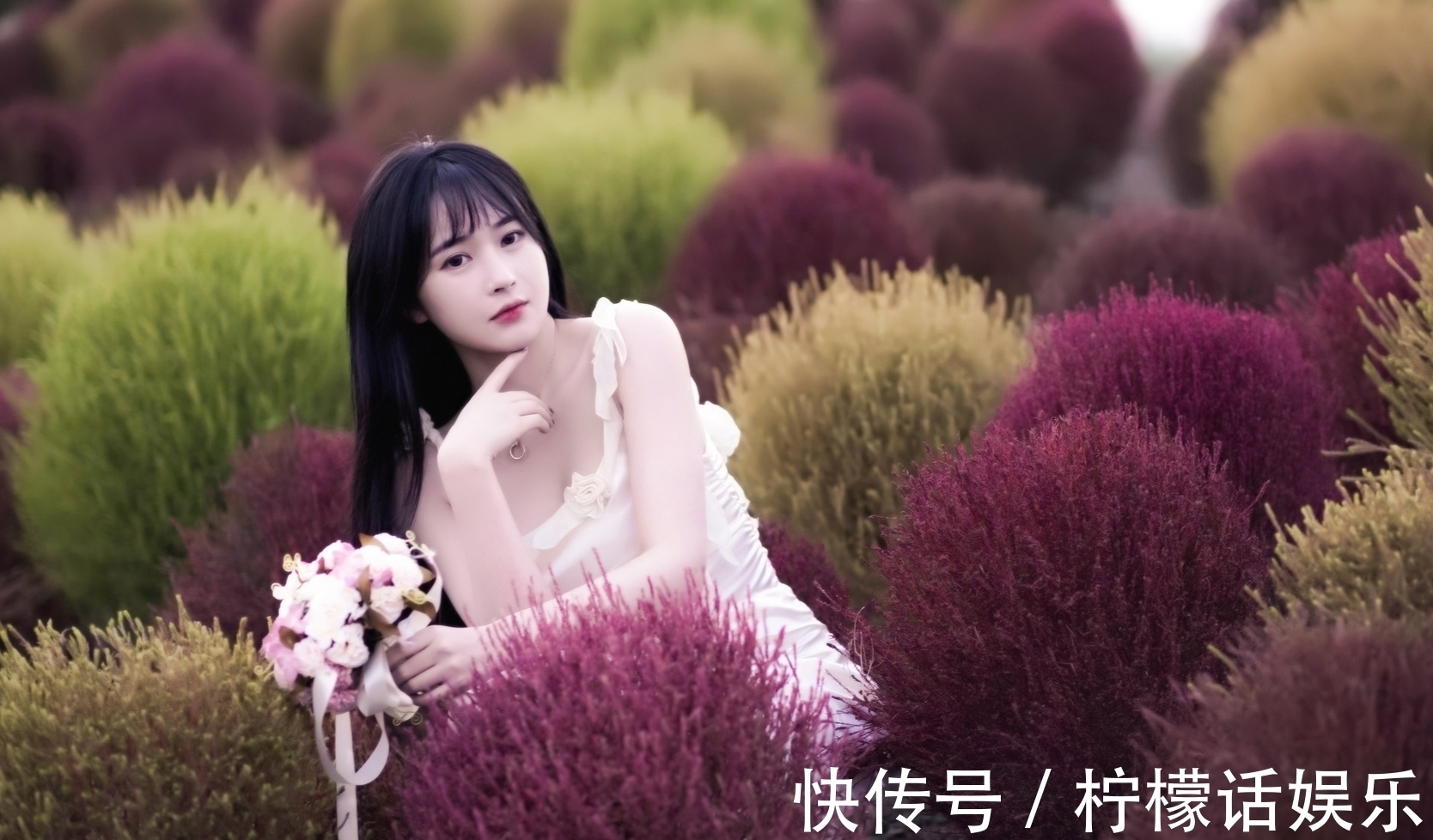 吟怀!诗·十二首丨人近丛林惊鹊鸟,菊斟满盏煮诗心