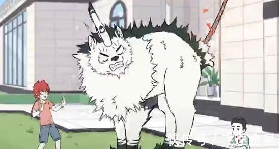 修行|非人哉的主角们基本都以人类形态出现,白泽变回去一次遭了殃