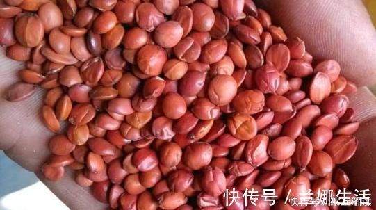 熬夜|夜晚失眠睡不着,记住4味小药,家家户户有,简单又有效