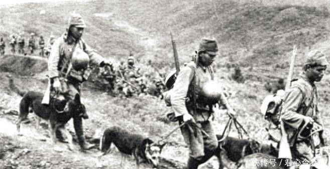 日军|1940年,日本人拍摄的日军,有一点和中国人拍的很不一样!