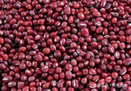 本草纲目|女性每晚当零食吃几颗，排毒减肥，改善贫血，早知早受益